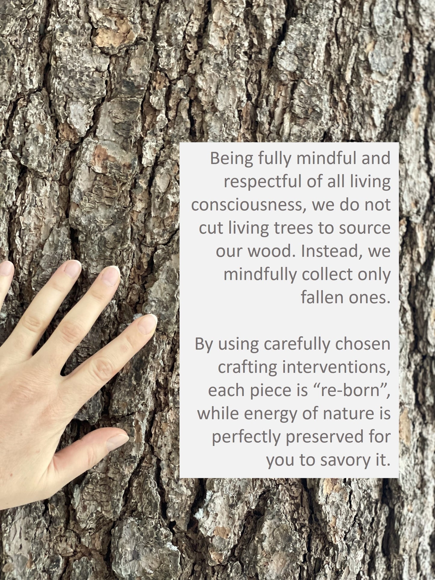 Sets of handmade wooden, rounded blocks displaying various crystals and decorative items, arranged as elegant risers.