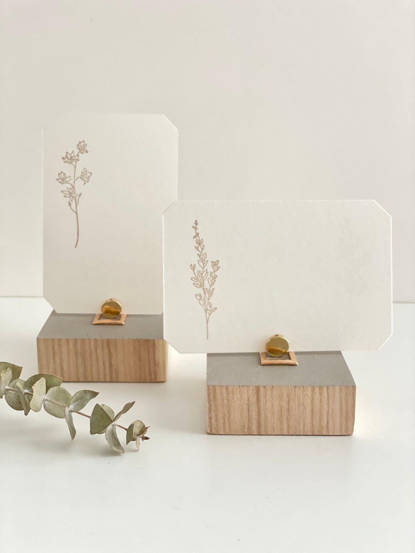 Intention Display Set - bulk