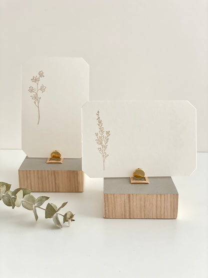 Intention Display Set - bulk