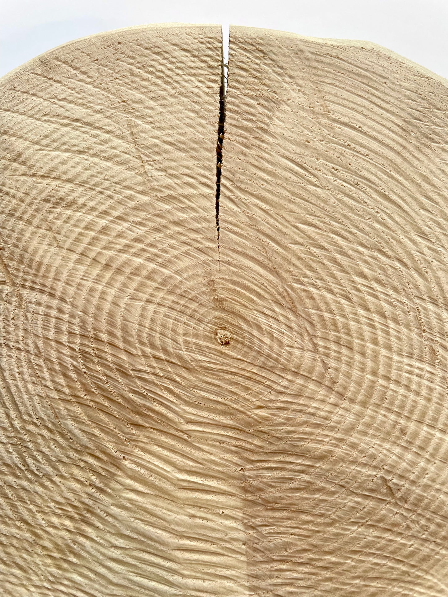 Small Nature Altar Set