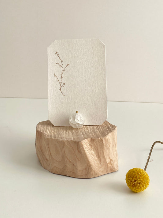 Intention Display Set  - Rough-cut