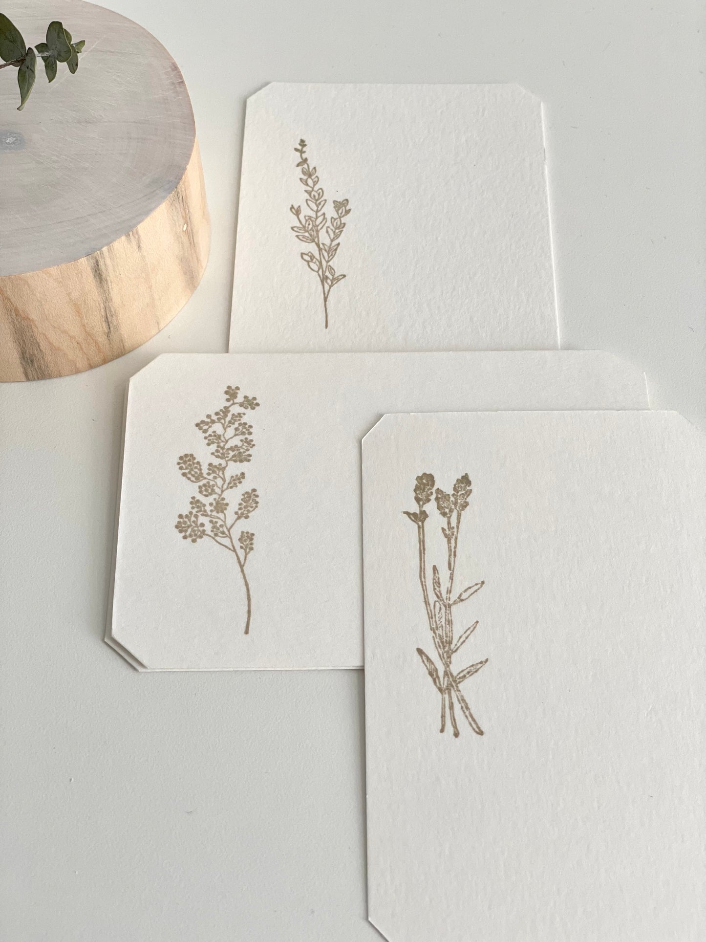 Intention Display Set - bulk