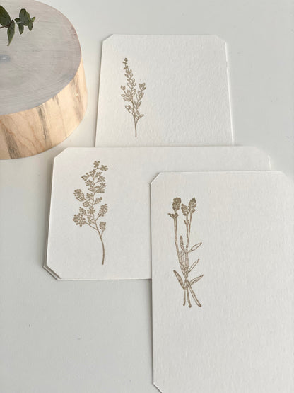 Intention Display Set - bulk