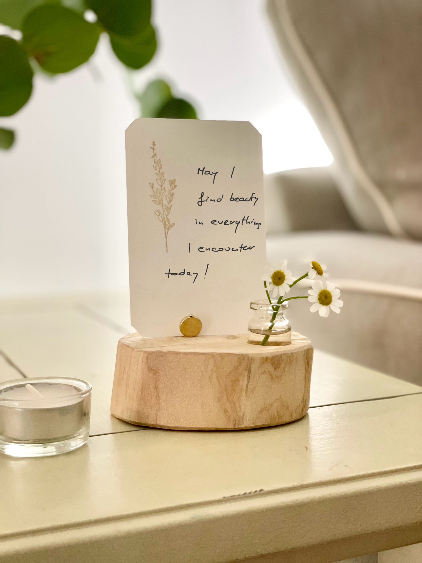 Mini Nature Altar Set - Ground, Amplify, Embody