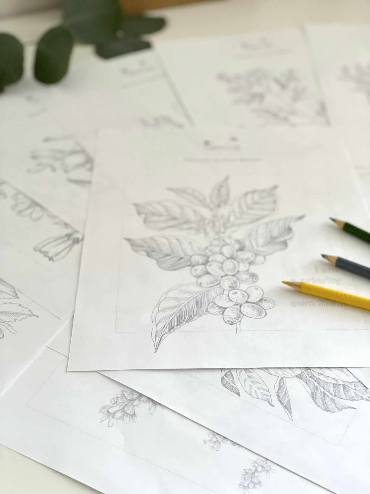 Coloring Pages with Sound Bath - bulk