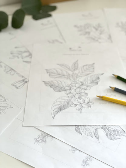 Coloring Pages with Sound Bath - bulk