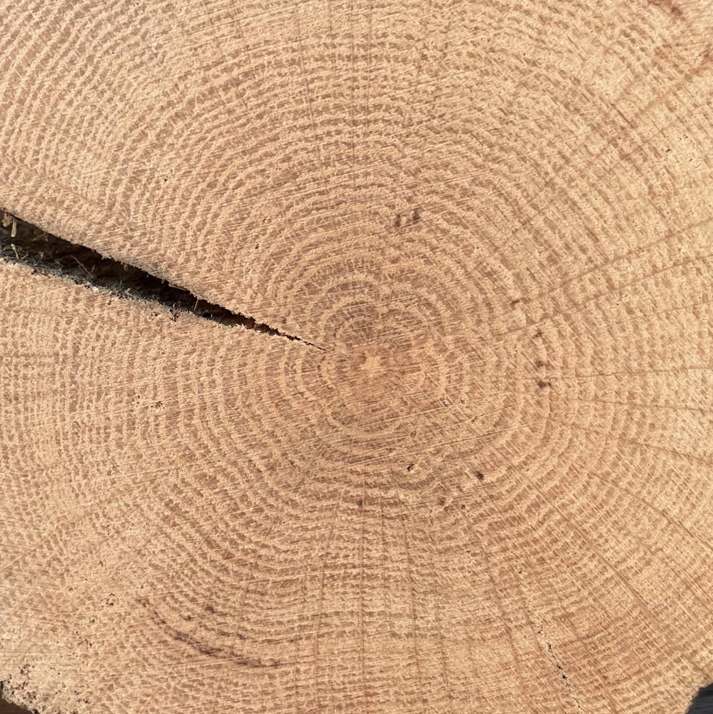 Pristine Wood Used